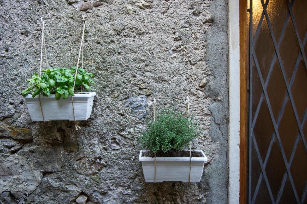 Borgo Antico - Torre Pugliola Apartment Lerici Exterior photo